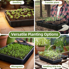 Load image into Gallery viewer, Extra Thick Heavy Duty 10 Pack Seed Starting Trays - Microgreens Growing Trays Seedling Plant Germination Starter Tray Transplant Fodder Flats, No Holes, No Leakage, Reusable, 14 * 10.8 * 2.3"