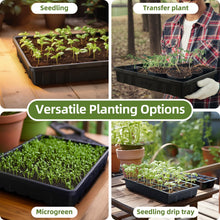 Load image into Gallery viewer, Extra Thick Heavy Duty 10 Pack Seed Starting Trays - Microgreens Growing Trays Seedling Plant Germination Starter Tray Transplant Fodder Flats, No Holes, No Leakage, Reusable, 14 * 10.8 * 2.3&quot;
