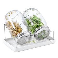 Load image into Gallery viewer, Mason Jar Sprouting Kit 2 Wide Mouth Quart Sprouting Jars