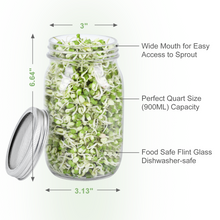 Load image into Gallery viewer, Mason Jar Sprouting Kit 2 Wide Mouth Quart Sprouting Jars
