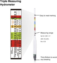 Load image into Gallery viewer, Triple Scale Hydrometer and Glass Test Jar ABV Brix and Gravity Test Kit