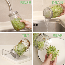 Load image into Gallery viewer, Mason Jar Sprouting Kit 2 Wide Mouth Quart Sprouting Jars