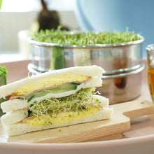Load image into Gallery viewer, SOLIGT Stackable Stainless Steel Seed Sprouting Kit