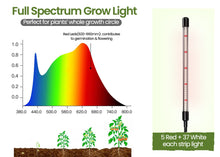 Load image into Gallery viewer, Seed Starter Kit with Grow Light Durable Seed Tray