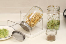 Load image into Gallery viewer, Mason Jar Sprouting Kit 2 Wide Mouth Quart Sprouting Jars
