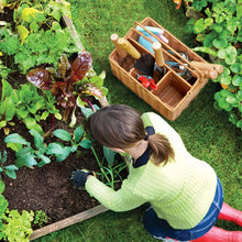 Load image into Gallery viewer, SOLIGT Gardening Hand Tools Basket Pruning Shears Cultivator Gloves Stainless Steel Gardening Tools