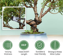 Load image into Gallery viewer, Wood Box 12PCS Heavy Duty Bonsai Tree Kit