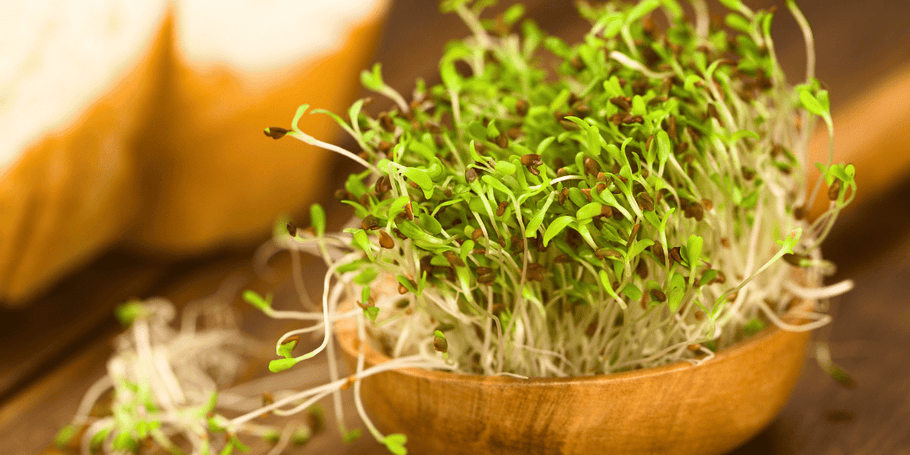 Sprouting101: Everything You Need To Know About Sprouting
