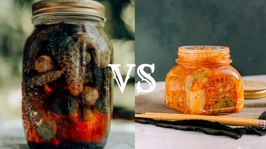 Do you really understanding the differences Fermentation and Pickling