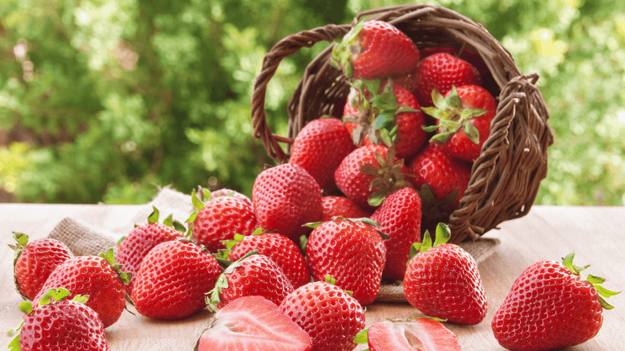 From Fruit to Garden: A Guide to Saving Seeds From Strawberry