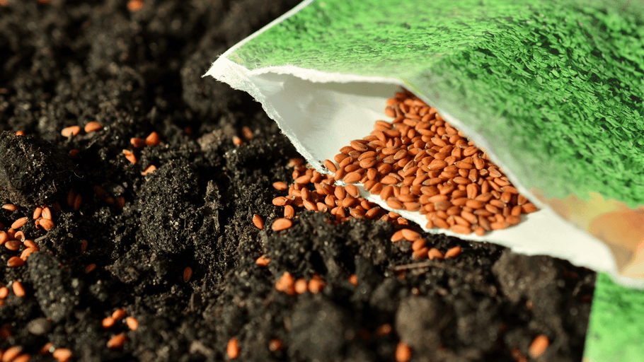 Indoor Sowing: Maximize seedling success