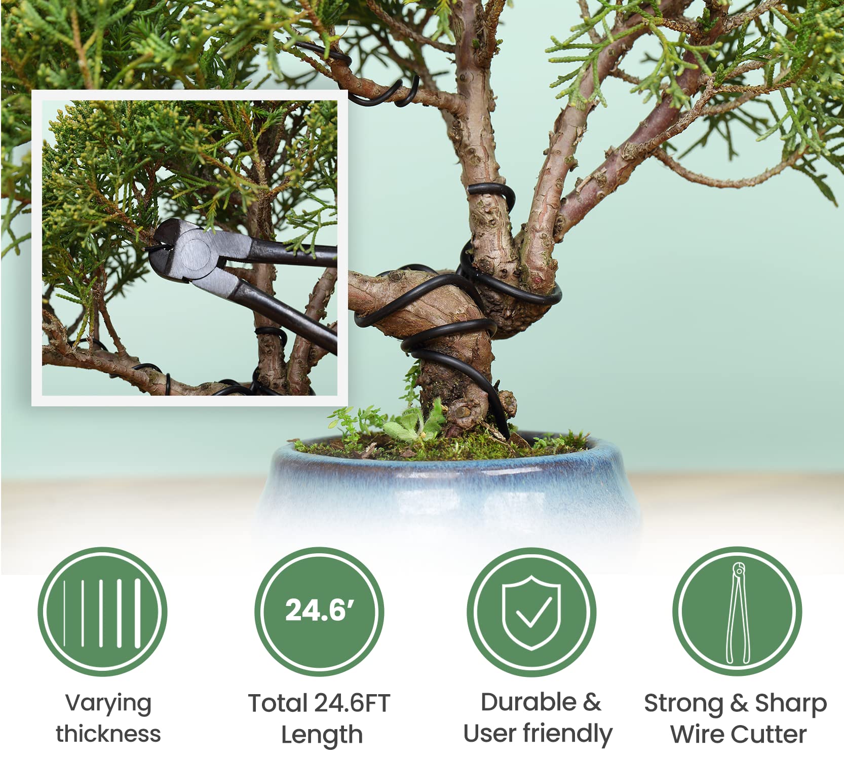 Wood Box 12PCS Heavy Duty Bonsai Tree Kit  soligtkitchen