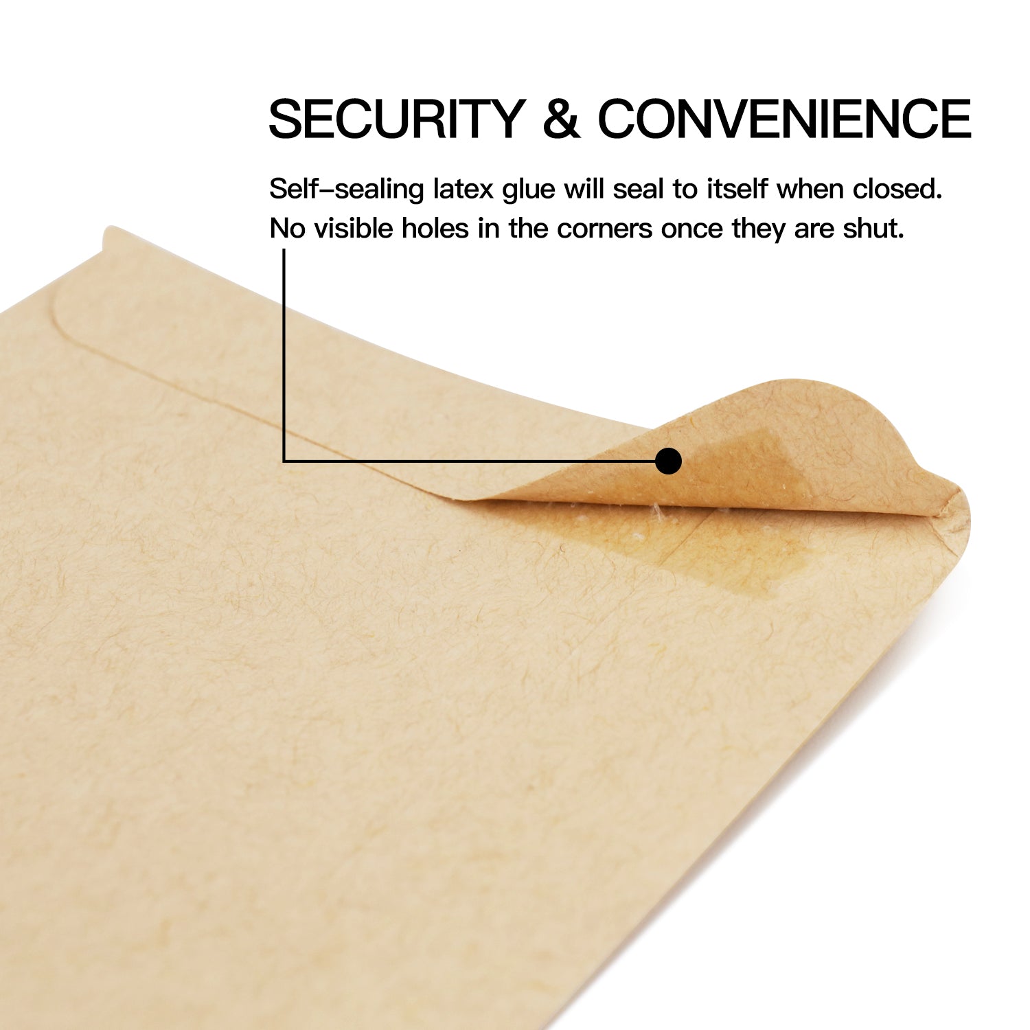 100 Pack Small Seed Saving Envelopes, Bulk Blank Paper Coin Packets  4.5x3.25